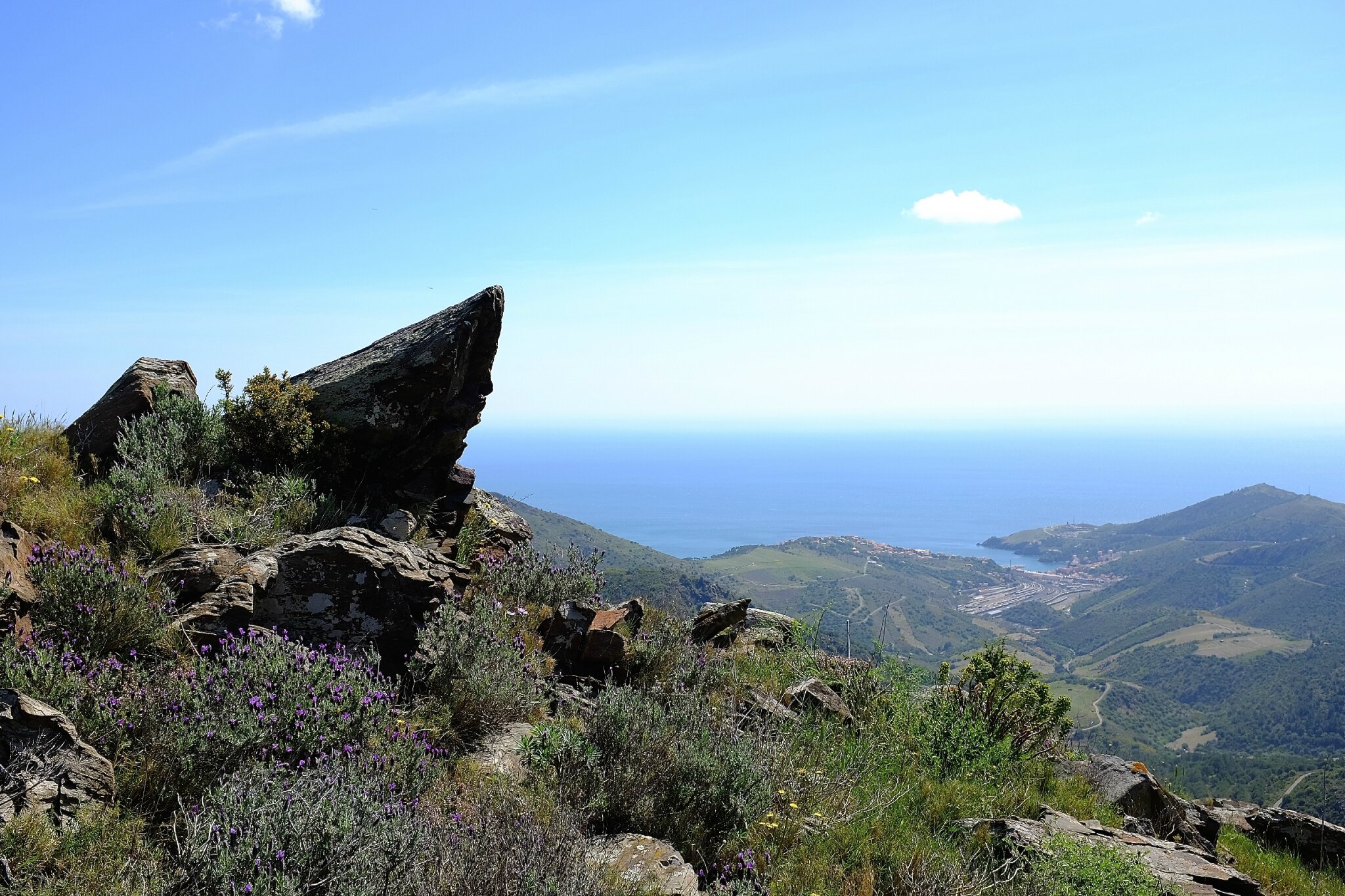 rencontre cinematographique cerbere
