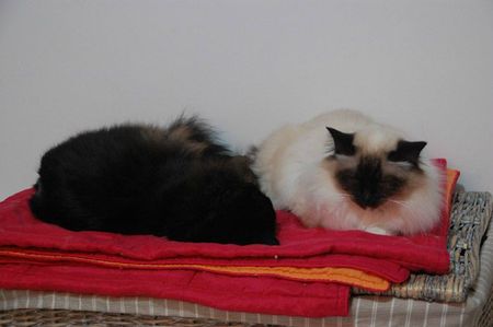 20-01-12 Le nouveau squate
