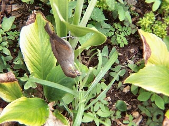 Rencontre avec un ange terrestre