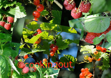 fruits_rouges