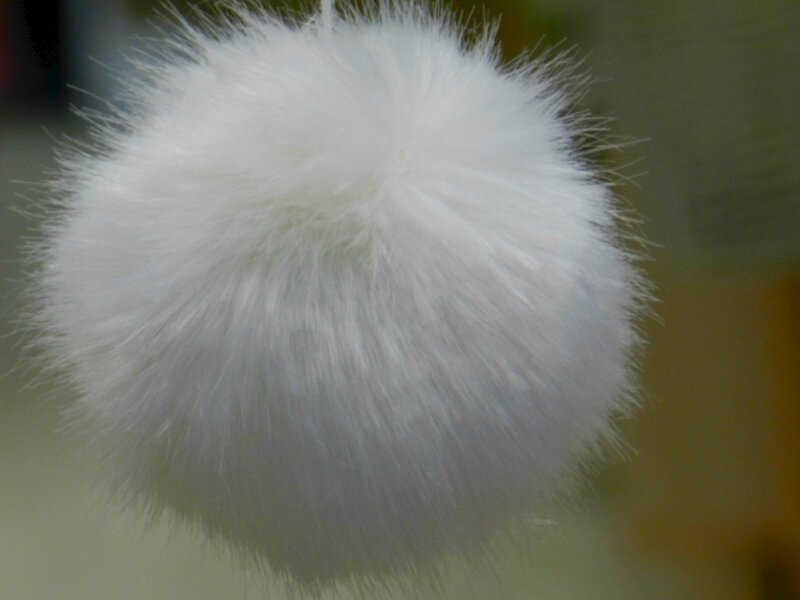 DSCN4285