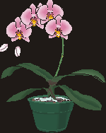 059