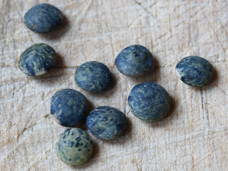 de gros galets peints…? photographie_mystère_comme_de_gros_galets_bleus_et_jaunes