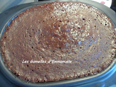 ultraprochocoSAM_1561