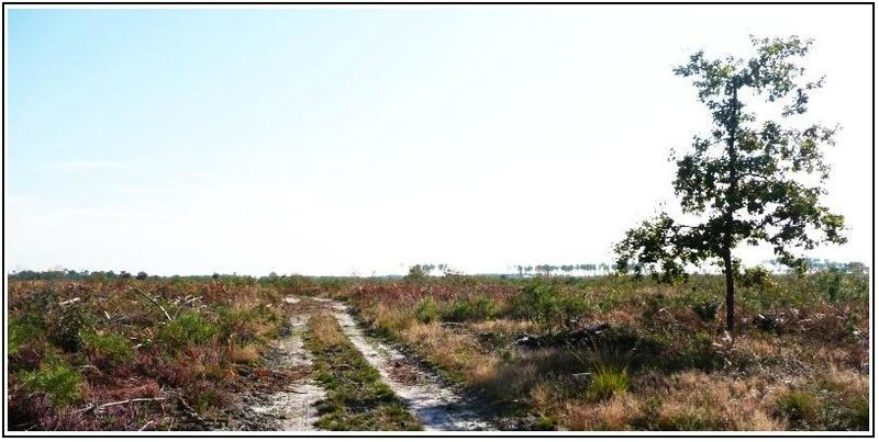 paysage 3
