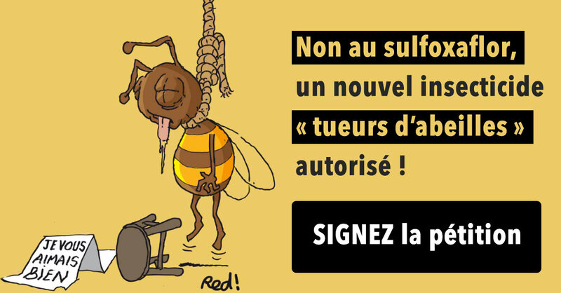 Nonausulfoxaflor_FB