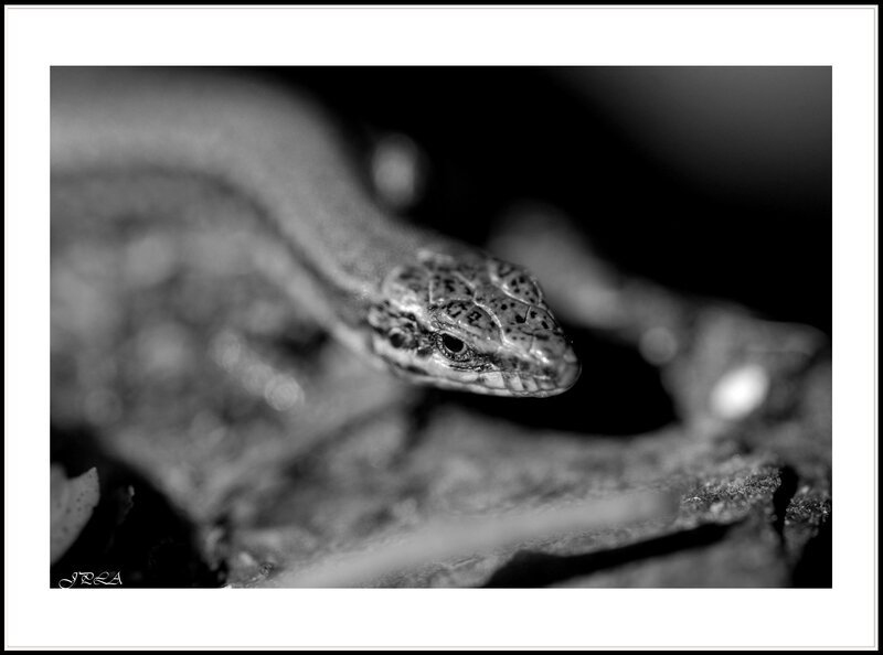 14 04 14 14 04 01 105macro 9719 b