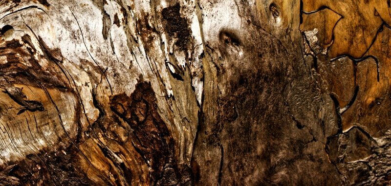 IMG_4704_DxO_3