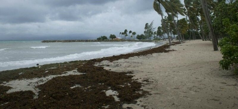 661-afp-news-5f2-2d2-a83e7cc4362831e2bbdf24644d-ouragan-irma-au-moins-deux-morts-et-deux-blesses-graves-a-st-barth-et-st-martin-1c814821850634979419010f070fbd27