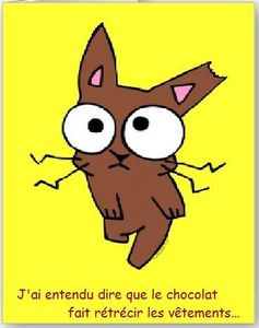 lapin4
