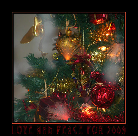 noel2009