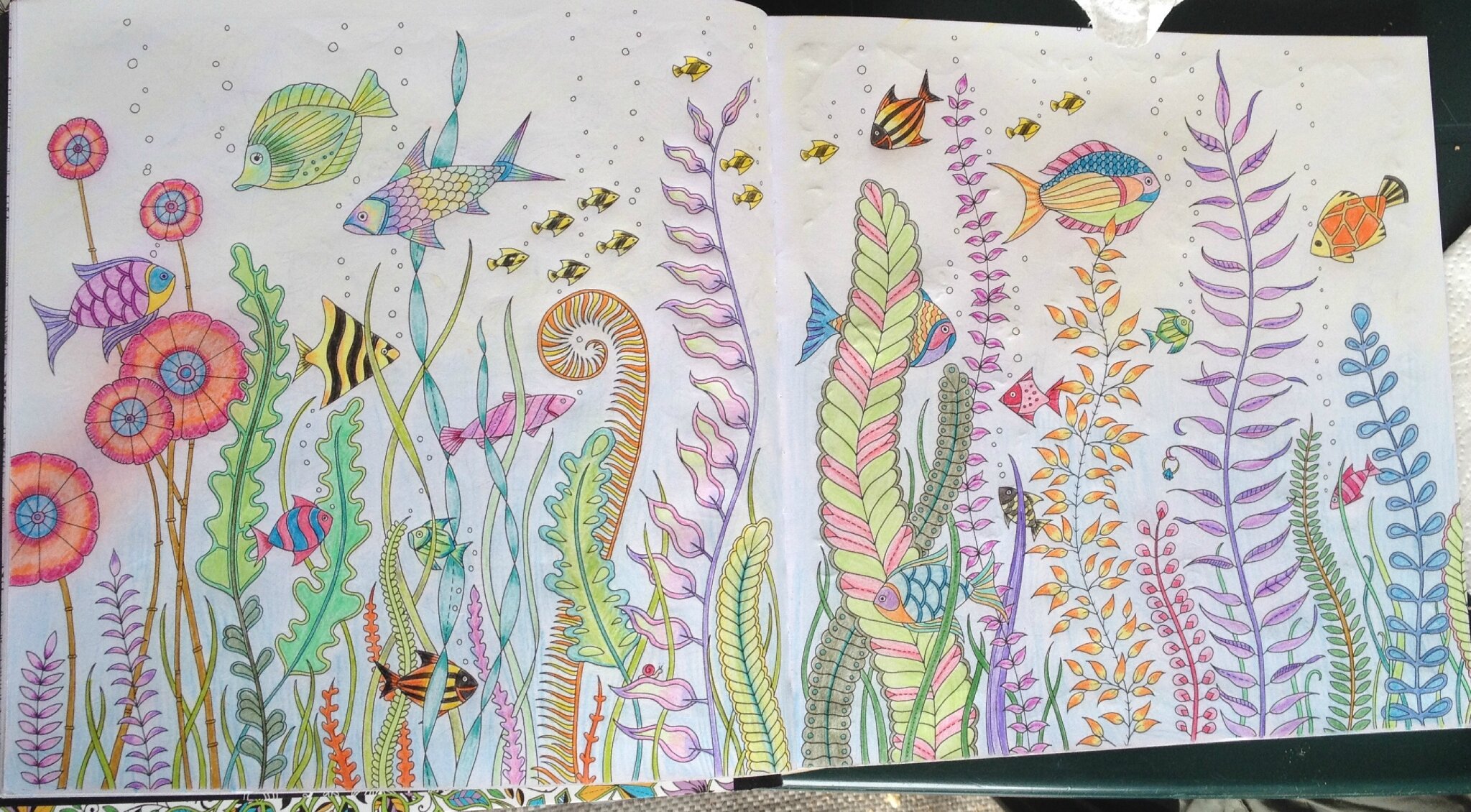 Coloriage 5 océan perdu Sous l océan Dans la bulle de julie Coloriage 5 océan perdu Sous l océan