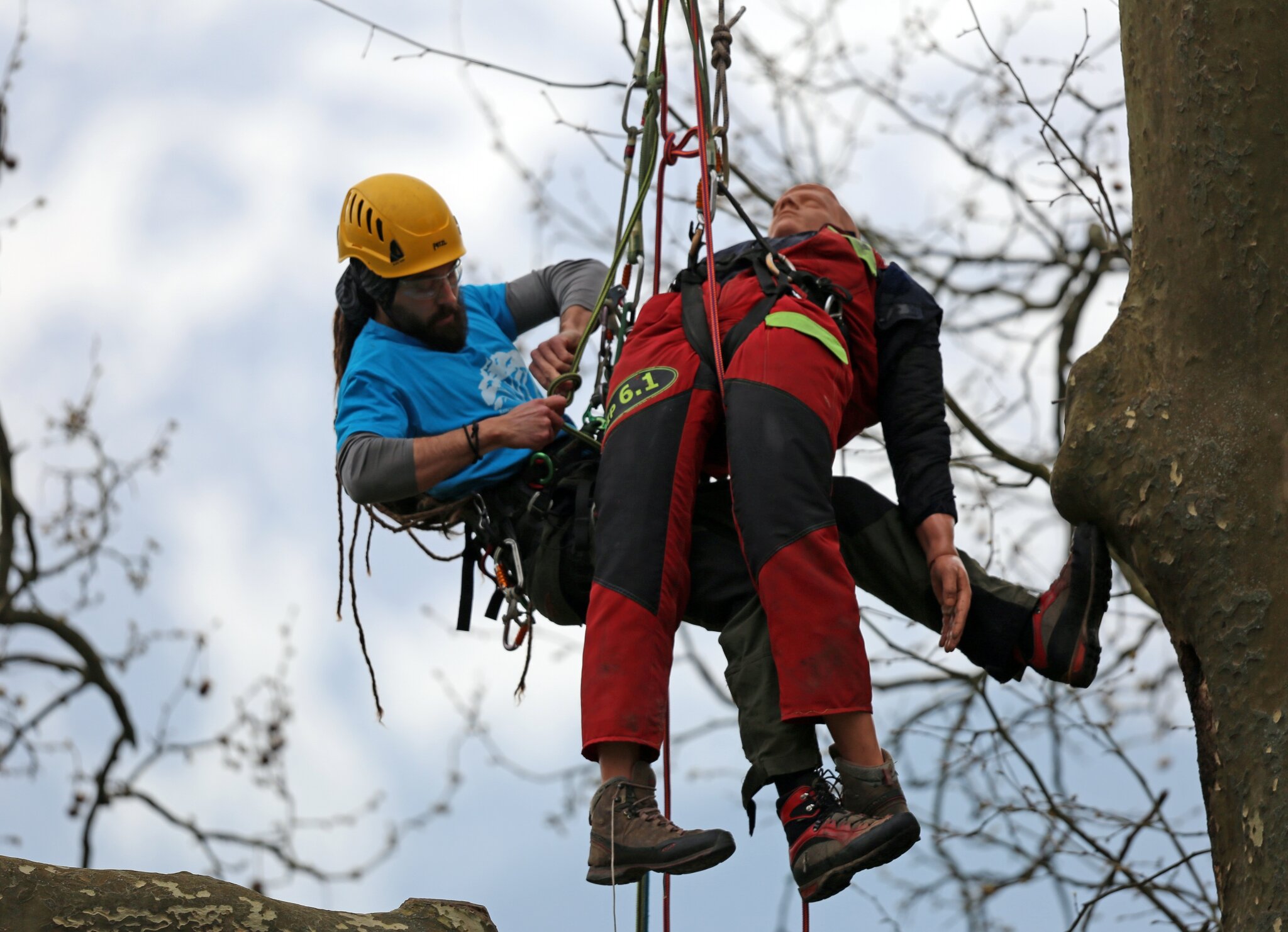 Rencontre regionale d'arboriculture 2016