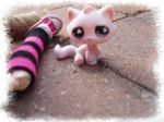 blanche_rose_006_petit