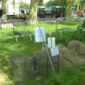 EXPO AGPACHS