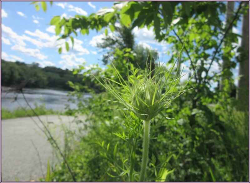 site de rencontre pour yorkshire