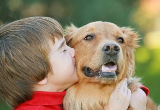 enfant-animaux-ouverture-istock-000005170943small-6390-556x556