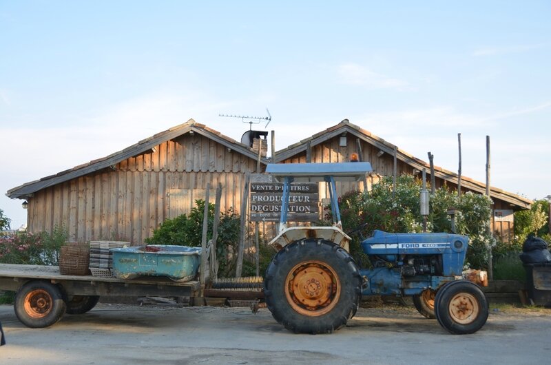 Photo-cabane-mimbeau-tracteur