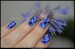 DSC_7946blog