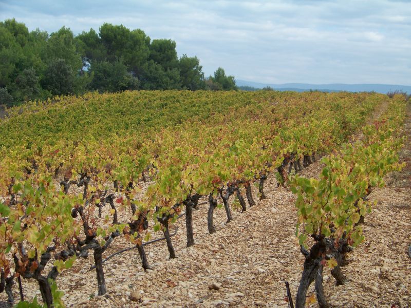 Automne 2011 (6)