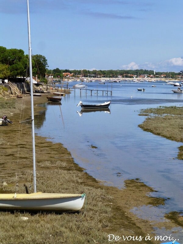 Cap Ferret 13