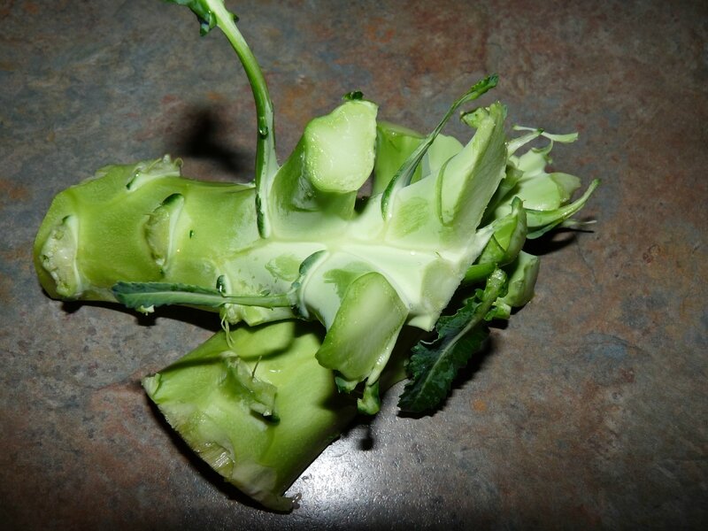 photos de cuisine 001