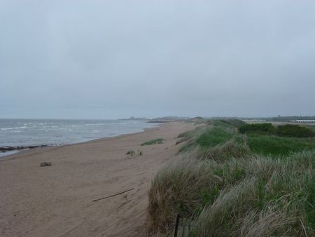 site de rencontre gratuit lac st jean