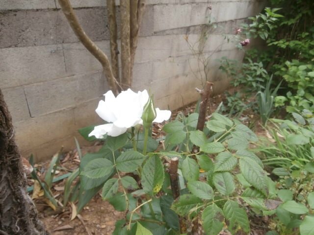 P5030002