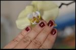 DSC_5654blog