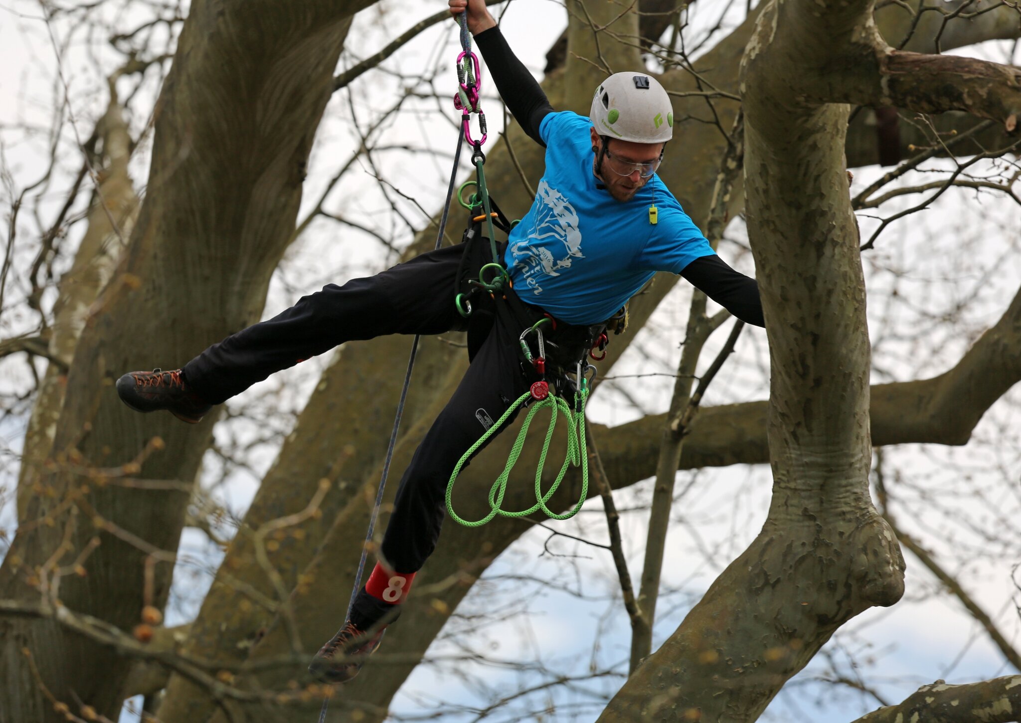 Rencontre regionale d'arboriculture