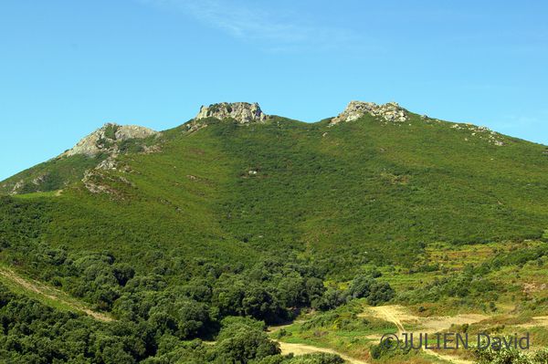 Rogliano 1