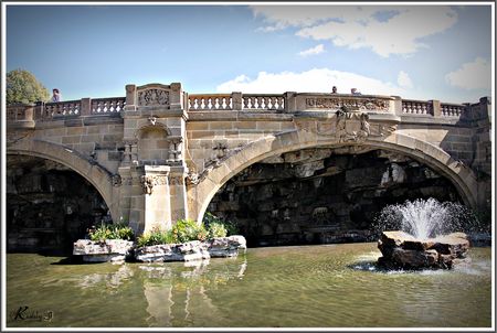 IMG_3888