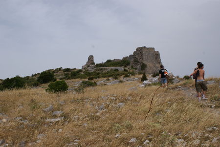 DSC01602