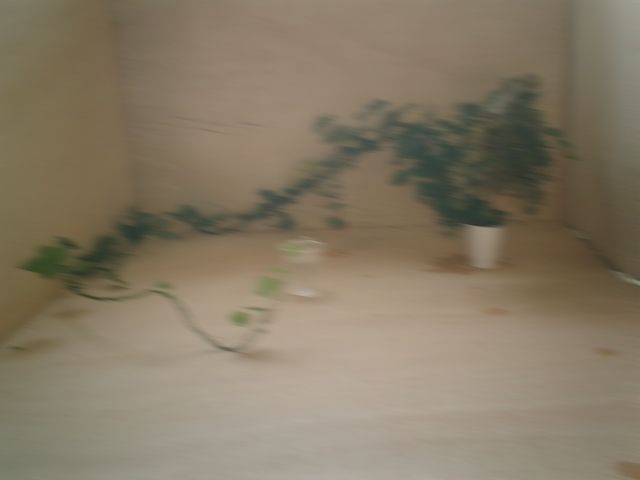 CIMG0456c
