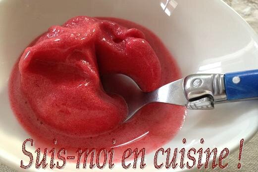 Glace Hibiscus Fraise 22