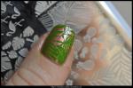 DSC_1119blog