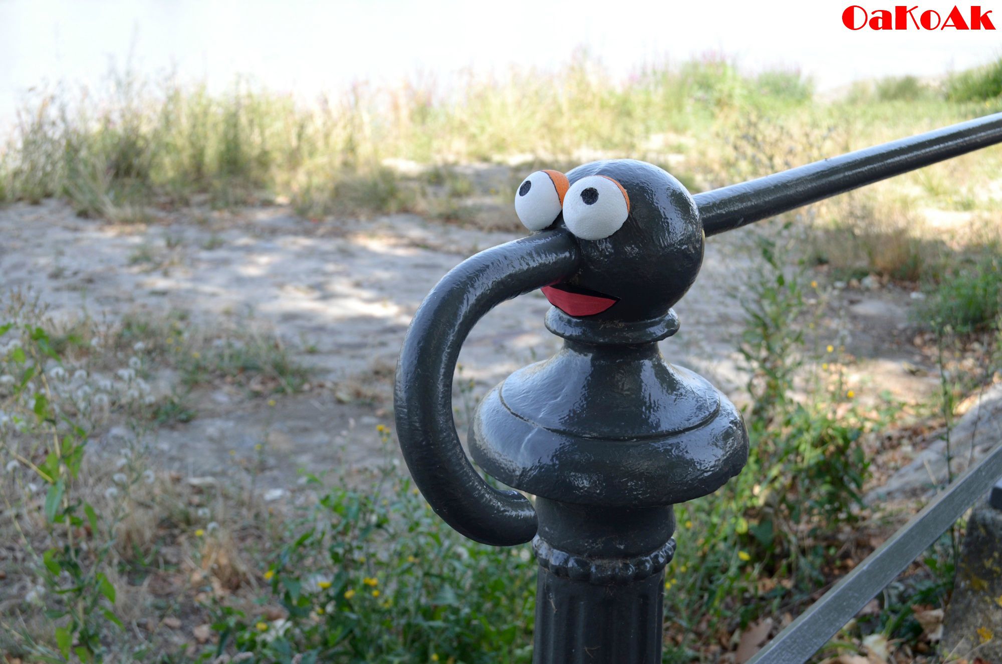 Gonzo Sesame