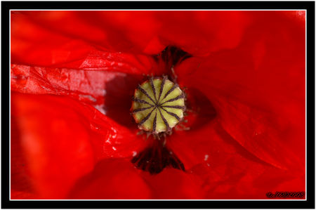 PICT0994_20