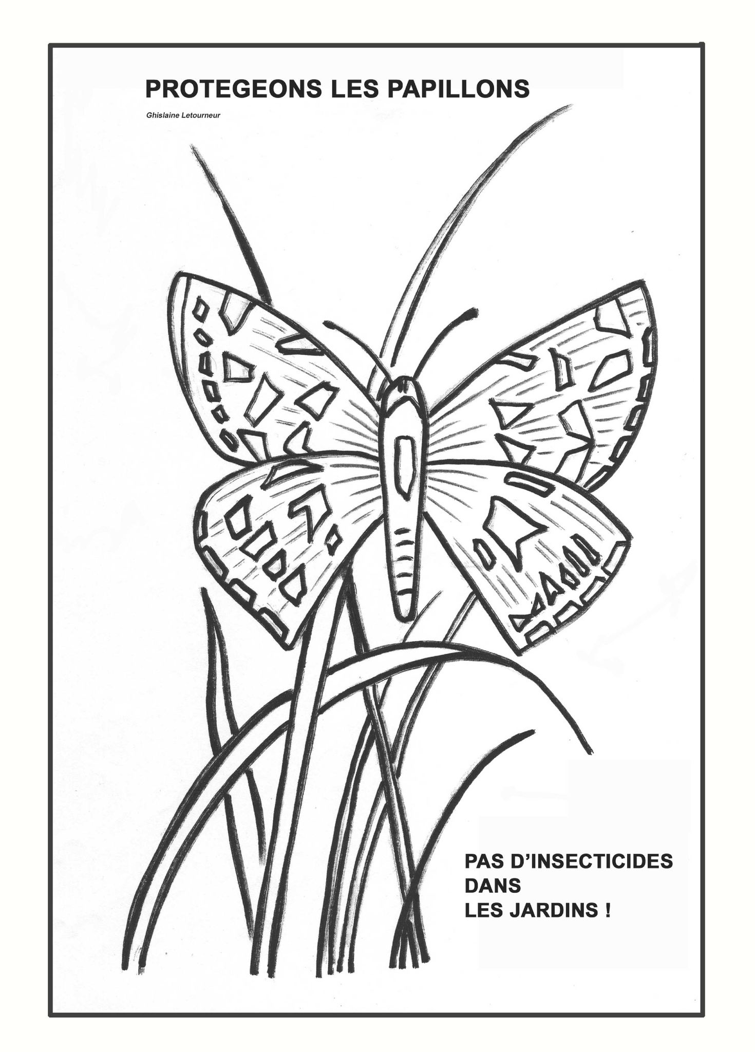 Coloriage papillon dessin Ghislaine Letourneur  Colouring butterfly