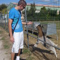 634. Aprem à la Ferme!! 2009