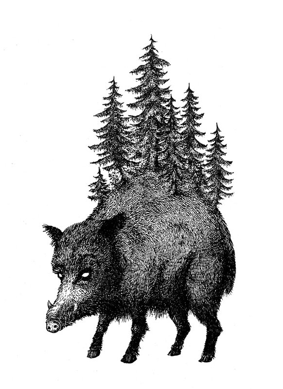 sanglier666