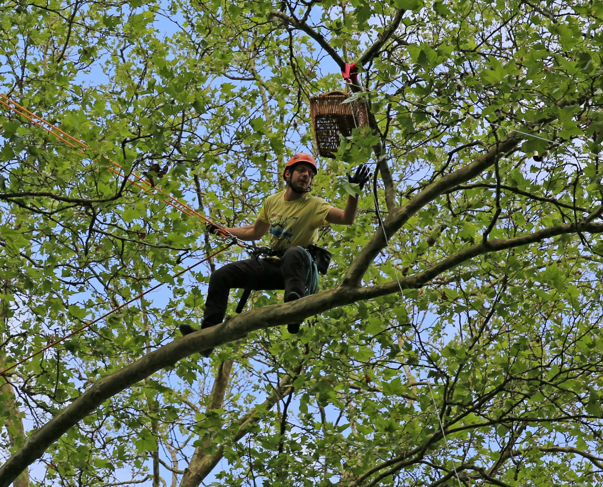 Rencontre nationale d'arboriculture 2016