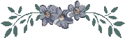 ligneFL15