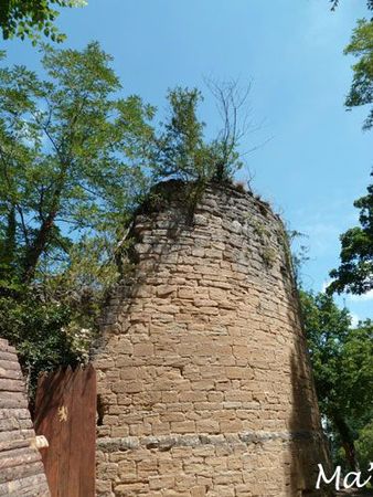 Rencontres tintinophiles chabeuil