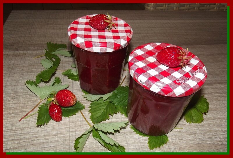DSCF743fraise 22