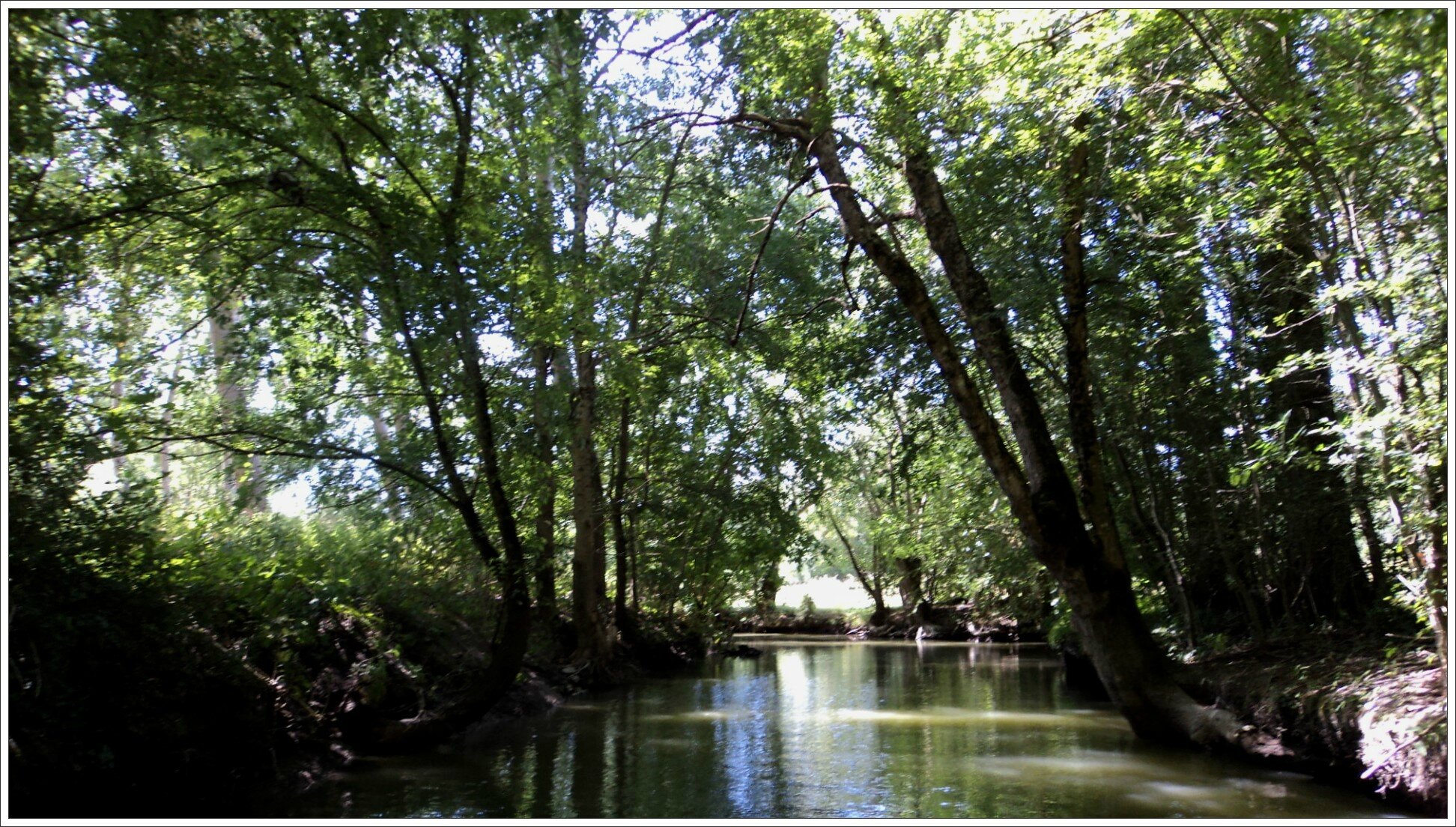 mon amour a rencontre alzheimer