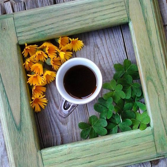 tumblr_ovevzff9Ux1sqhql9o1_1280