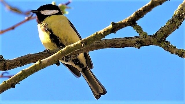 IMG_3101-001 (2)