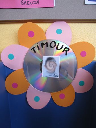 CD_fleur