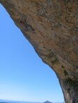 IMG_2255
